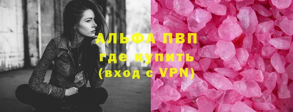 стаф Корсаков