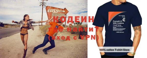 стаф Корсаков