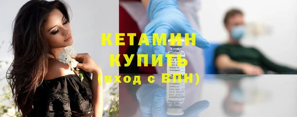 стаф Корсаков
