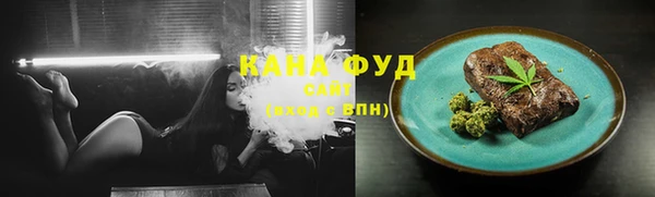 стаф Корсаков