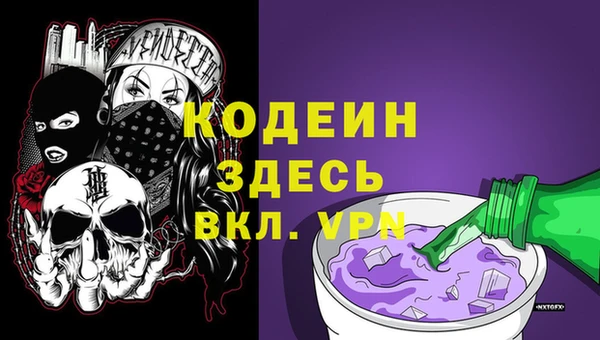 стаф Корсаков