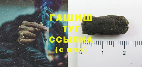 стаф Корсаков