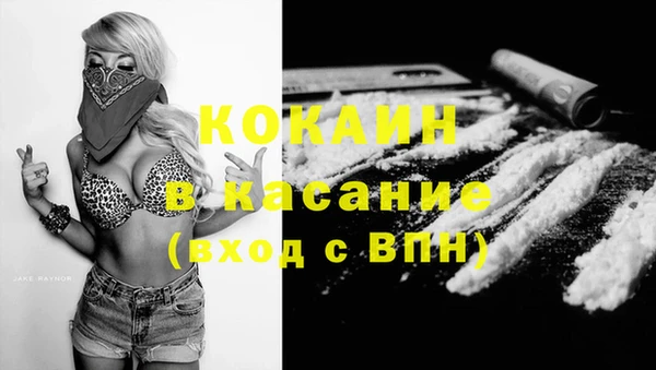 стаф Корсаков