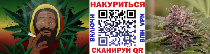 Конопля AK-47  Купить закладки  Свободный 